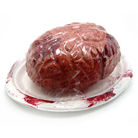 Blood Brain on Paper Plate